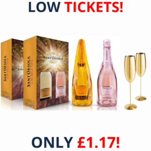 Sant'Orsola Millesimato + Prosecco D.O.C. Rosè Sparkling Italian Wine in Gift Pack x 2 + 2 Gold VonShef Champagne Glasses | 2851!